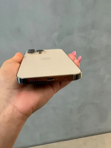iPhone 13 Pro Max - 512 gb