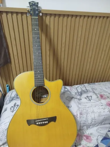 Violão Tagima Aço elétrico Woodstock