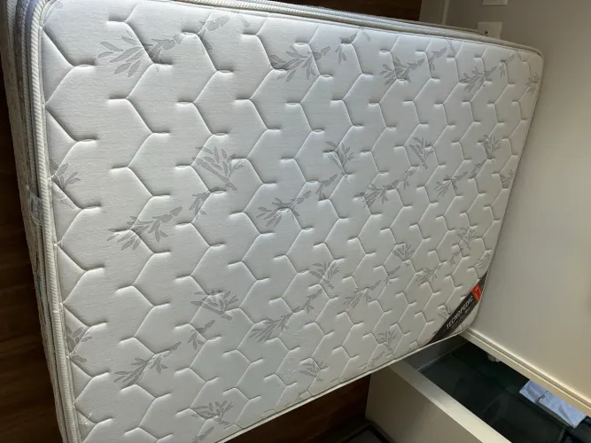 Cama Box Casal Castor Mola Premium Tecnopedic One Face