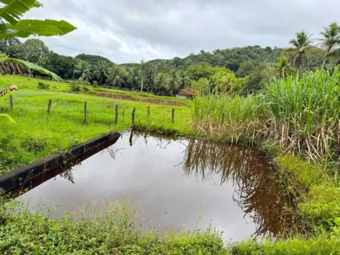 SITIO NO CONDE, 32 KM DO LITORAL SUL