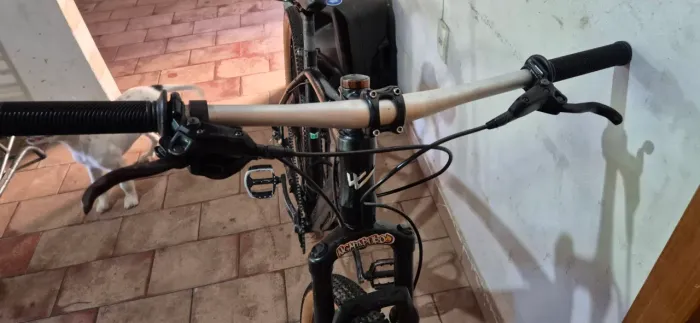 Bike 29