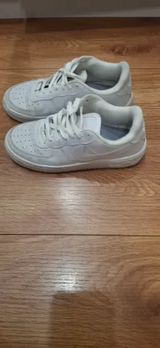 Tenis
