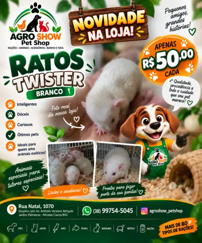 Twister - o Roedor mais docil e obediente