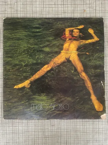LP Vinil Ney Matogrosso - Mato Grosso (1982) Original Com Encarte