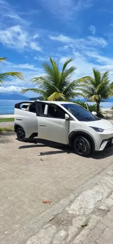 BYD Dolphin Mini (Elétrico) 2024