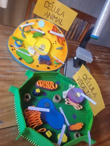 MAQUETES BIOLOGIA E CIENCIA