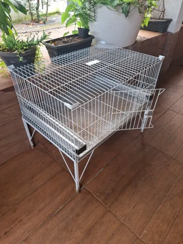 Gaiola para criação de pintinhos 