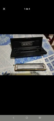 Gaita Herring 64 vozes