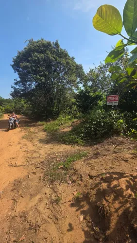 Negócio terreno na estrada de novo airão km17