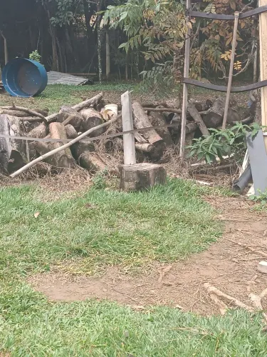 Lenha para fogueira