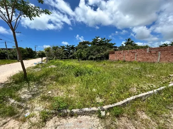 Terreno na Praia de Tamandaré (Caminho para Carneiros)