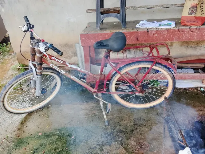 Bicicleta 