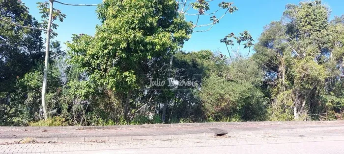 Terreno no Imigrantes em Guabiruba