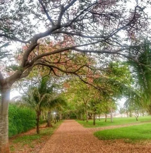 Terreno/Lote em Condomínio em condomínio à Venda em Primeiro de Maio - PR