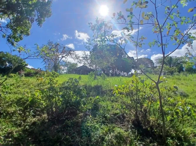Vende -se um sítio na roça do povo bairro de ferradas Itabuna Bahia