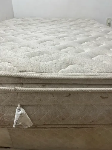 Cama