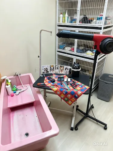 Tudo para seu Pet Shop Parcelo no cartão em até 12X com juros da maquininha. Não entrego.