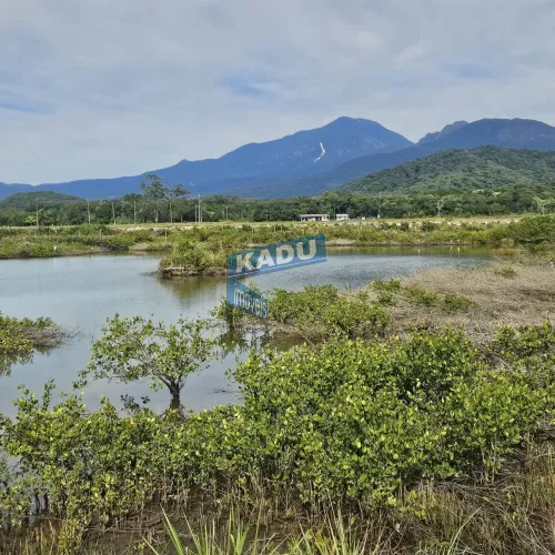 FAZENDA À VENDA COM 61 hectares - Infraestrutura completa para produção de camarão marinho
