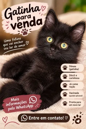 Gatinha persa!
