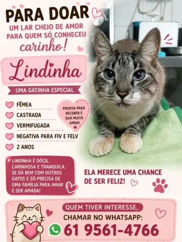 Doação  responsável 