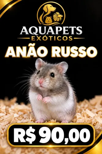 Anão Russo