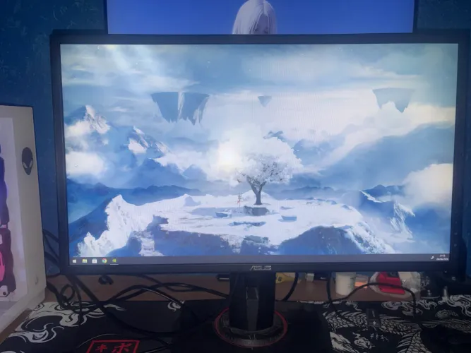 Monitor 24,5 Polegadas Asus 
