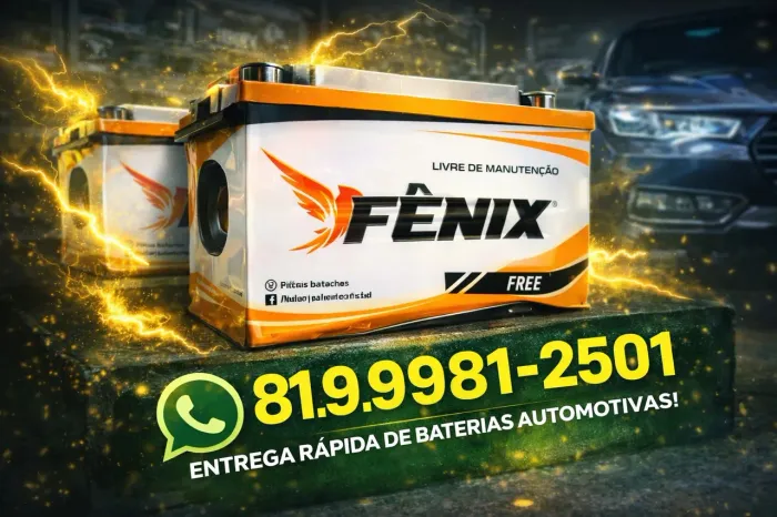 Bateria automotiva Fenix 60ah ( 12 meses de garantia ) entrega grátis 