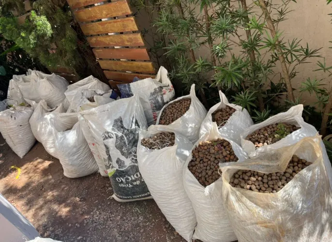 Vendo Argila Expandida PROMOÇÃO!!!