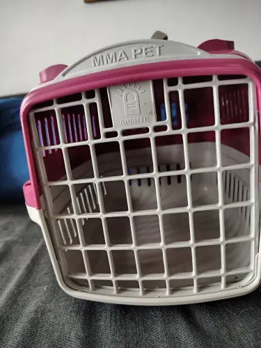 casinha de gato