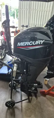 Motor mercury 50hp elhpt 4 tempos mid tiller