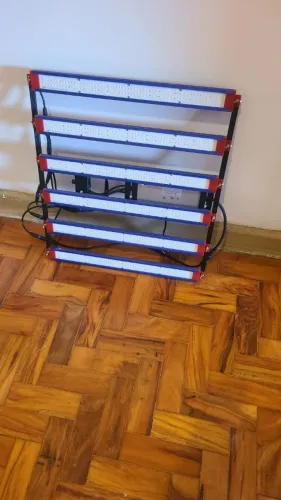 Samsung Quantum Board 