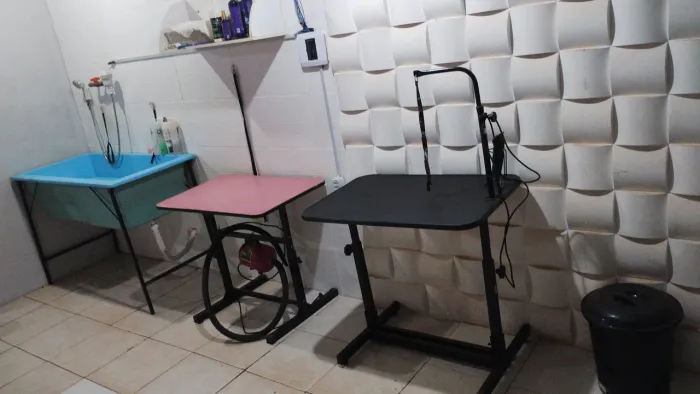 Aluguel para banho e tosa