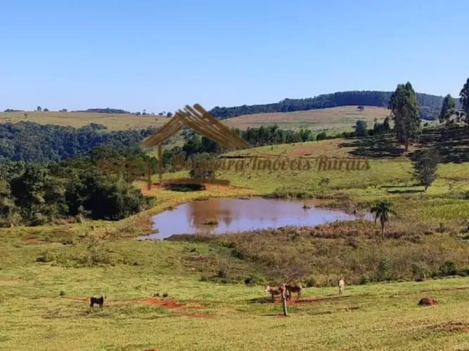 Fazenda com 119,5 alqueires à venda na região de Botucatu-SP