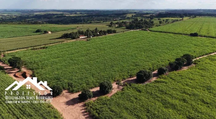 Área perto do futuro aeroporto de Limeira Centro Rural do Bairro Pinhal