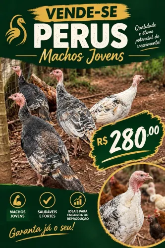 Vende-se perus