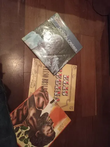 Discos de vinil mpb/ sertanejo  raiz samba...