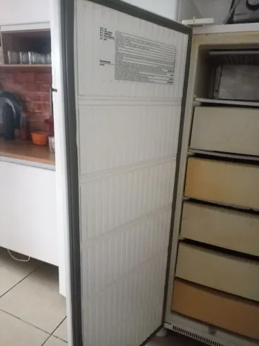 Freezer l Eletrolux 250 litros