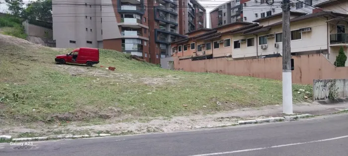 Limpeza terreno 