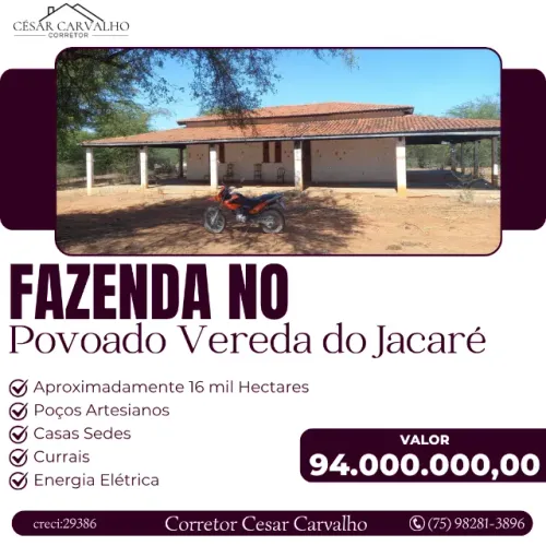 FAZENDA NO POVOADO VEREDA DO JACARÉ