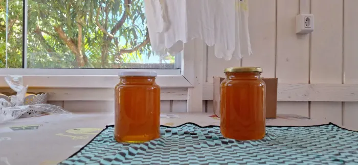 *Mel de Abelha Puro*