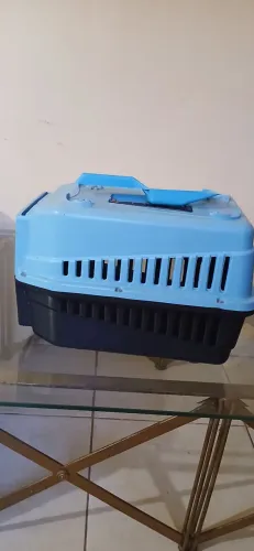 Caixa de transporte gato
