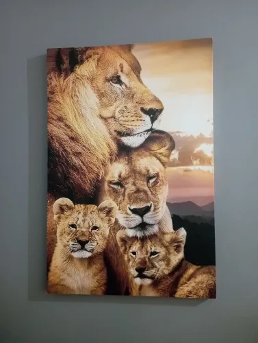 Vendo quadro da família. 