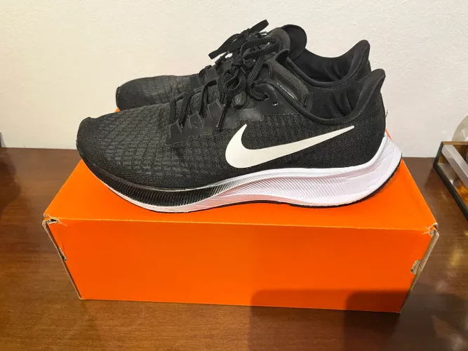 Tênis Nike Pegasus 37 Tam:42