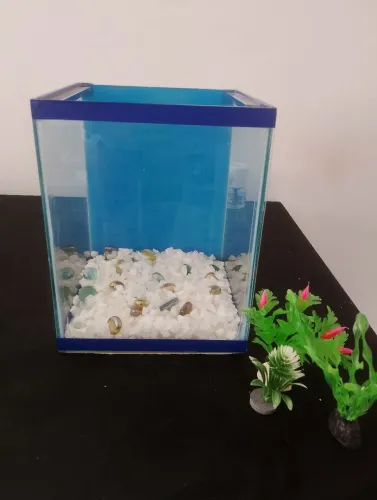 Aquário 10L