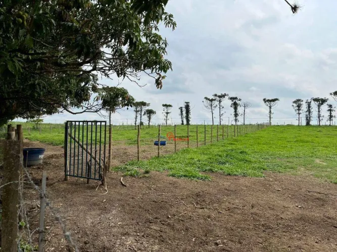 Porteira fechada, Sítio, com 3 dormitórios à venda, 72000 m² por R$ 3.500.000 - Centro - C