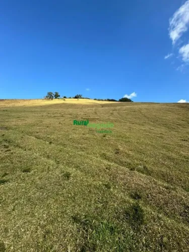 TERRENO / SÍTIO COM CLIMA DE MONTANHA E VOCAÇÃO AGRÍCOLA NOBRE EM CRISTINA-MG