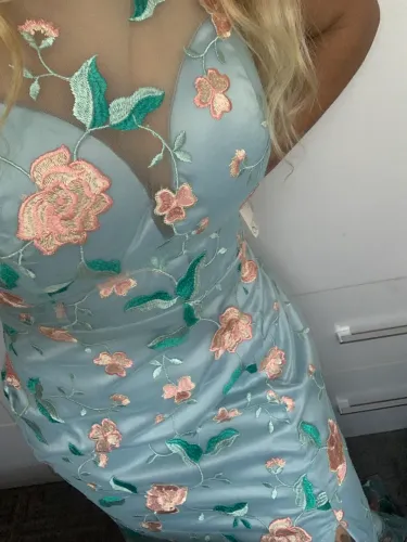 Vestido de festa novo