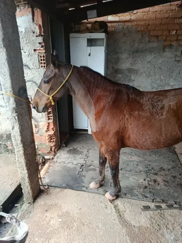 Vende-se 