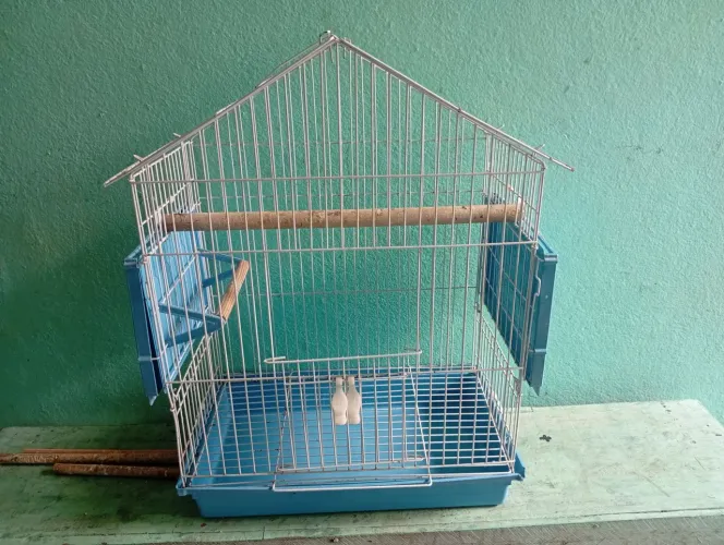 Gaiola de calopsita