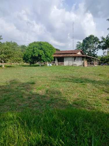 Fazendinha em Mosqueiro 19ha Tudo Pronto